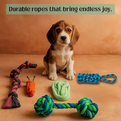 Image of Dog Rope Toys for Large /Medium Aggressive Chewers Tough Rope Chew Toy with Easy Hold Handle, Indestructible Natural Cotton Tug Rope (Cotton Rope Combo- 5)