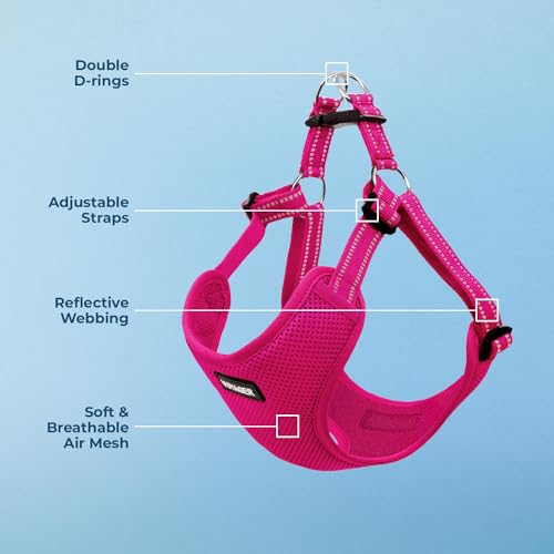 Image of Best Pet Supplies Voyager Adjustable Step-in Flex Breathable Mesh Dog Harness for Small Medium Large Dogs (Fuchsia), L