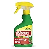 Neudorff Spruzit AF Schädlingsfrei – Bekämpft Schädlinge wie Buchsbaumzünsler, Blattläuse, Thripse an Zierpflanzen, Gemüse, Obst und Kräutern, 250 ml