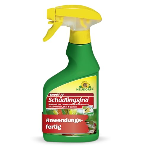 Neudorff Spruzit AF Schädlingsfrei – Bekämpft Schädlinge wie Buchsbaumzünsler, Blattläuse, Thripse an Zierpflanzen, Gemüse, Obst und Kräutern, 250...