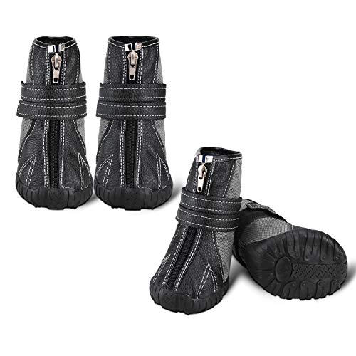 Best Dog Booties For Hunting 10Reviewz