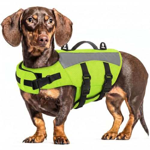Queenmore Dachshund Life Jacket, Reflective Small Dog Swim Vest