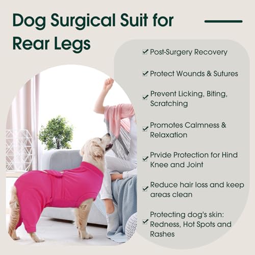 Image of Kuoser Dog Surgical Suit for Rear Legs, Female Spay Recovery Suit for Dogs After Surgery, Doggie Rear Leg Sleeve to Stop Licking, Puppy Onesie for Abdomen Wounds Skin Disease,Substitute E-Collar