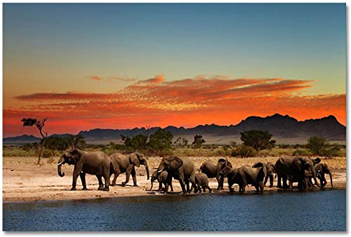 KLHWR Obra de arte para el hogar, 70 x 120 cm, sin marco, elefante africano, animal, atardecer, paisaje, impresión, arte de pared, sala de estar, decoración del hogar