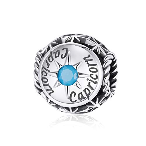Image of 12 Constellation Charms 925 Sterling Silver Crystal Zircon Charms Family and Friends' Birthday Charm Birthstone Charms for Women Bracelets