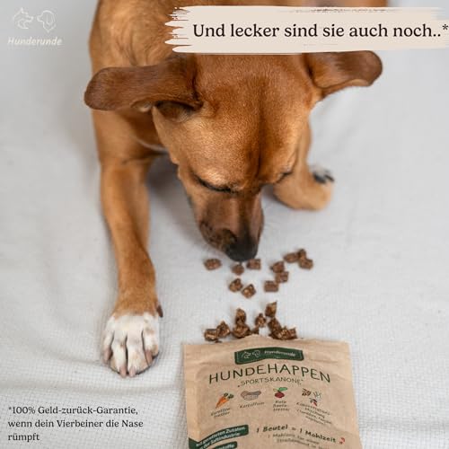 Hunderunde – Hundehappen Sportskanone 6×125?g – vegane Hundeleckerli für Training & Spaziergang – fettarm & proteinarm – mit Rote Beete & Fenchel – getreidefrei – ideal bei Sensitivität – Hundesnack