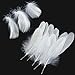Produktbild Weiße Federn, 300PCS Natural Crafts Gänsefedern für Kostüm, Taschen, Ohrringe Dekoration, DIY Dream Catcher, Hochzeitsfest Home Party Dekorationen