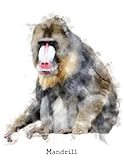  Mandrill: Notebook, 120 blank lined pages, 8.5 by 11