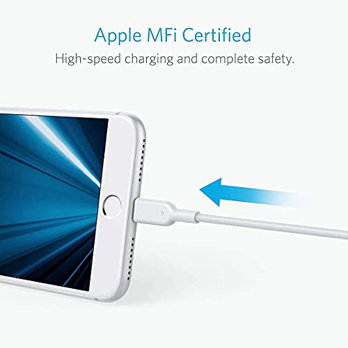 Anker 20000Mah Power Bank & Powerline Ii Lightning Cable (3 Pack), With Poweriq Technology And Usb-C (Input Only), Compatible With Iphone Se 11 11 Pro 11 Pro Max Xs Max Xr X, Ipad #TOP5
