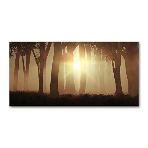Crédence de cuisine forêt de brume pour une ambiance naturelle unique