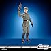 STAR WARS The Vintage Collection Moff Jerjerrod, Return of The Jedi 3.75-Inch Collectible Action Figure, Ages 4 and Up