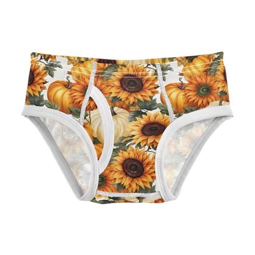 ODAWA Sunflowers Autumn Harvest Childrens Underwear, 2T Boys Underwear Briefs