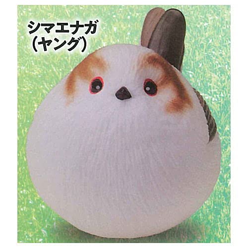 Amazon 極楽はんどりんぐフィギュア 超愛でる系デフォルメちっくフィギュア 動物アイドル編 シリーズ3 5 シマエナガ ヤング 単品 ガチャガチャ カプセルトイ カプセル玩具 おもちゃ