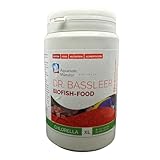 Dr. Bassleer