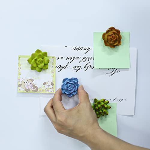 Imanes decorativos de resina con diseño de plantas suculentas, set de 8 miniatura 5