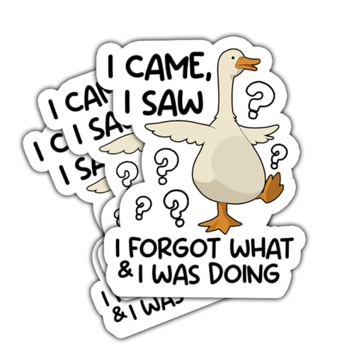 (3 Pcs) I Came I Saw I Forgot What I was Doing Sticker, Funny ADHD Goose Sticker, Silly Goose Vinyl Waterproof Stickers for Laptop, Water Bottle, Tumbler, Phone Case, Hat, Helmet, Gifts 3"x3"