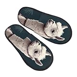 Semelle antidérapante : La semelle extérieure texturée antidérapante offre une adhérence à chaque pas, réduisant ainsi les risques de chute lors de la montée des escaliers. La semelle résistante permet un port à l'intérieur comme à l'extérieur, vous permettant de passer facilement d'une simple promenade à la sortie des poubelles.