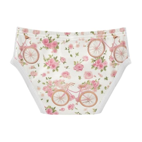Wusikd Vintage Pink Bicycle Boys' Underwear Cotton Roses Boys Briefs Soft Toddler Underwear 2T2