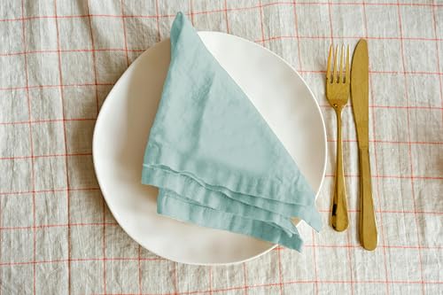 Image of R home Solid Cotton Table Napkins, Soft Cloth Napkins for Dining Table, Reusable & Washable, Ideal for Formal Dining, Cocktail Nights, Weddings, Home Bar & Table Decor (6, Sky Blue)