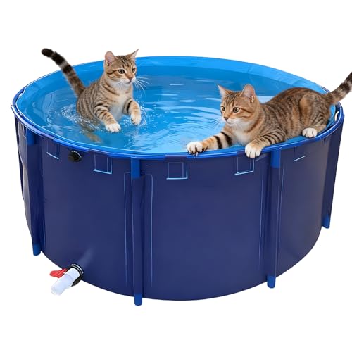 Pounjsd ^ t[v[ {Br 1.5m _J ŒrX^ht 1700L كv[ RȂ {r J^N r Csv ܂肽 ~`  lHr p qp  c  W ~`LoX