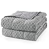Mr. Sandman Weighted Blanket for Ad...