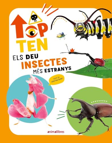 Top Ten Els deu insectes més estranys