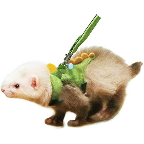 Anelekor Dinosaur Harness and Leash Set Cover