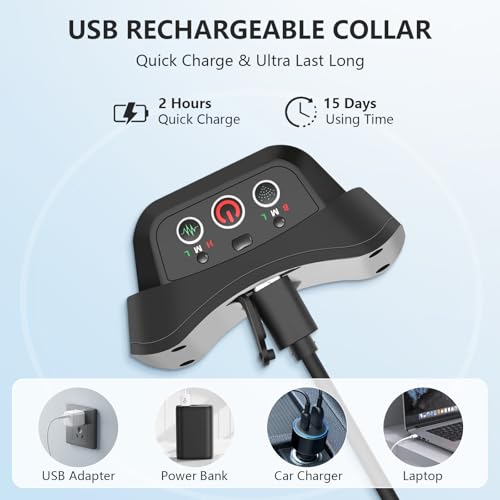 Proper Use of LIVELYLEAP Collar