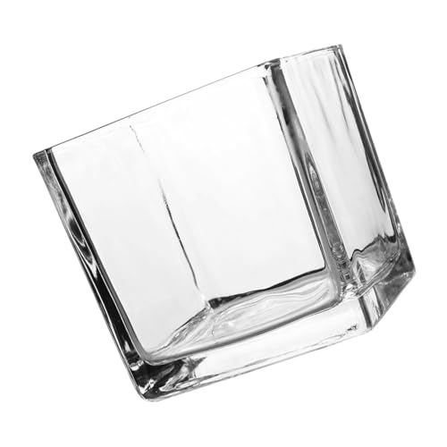 JEWEDECO Square Hydroponic Glass Vase 10x10cm Thick Cube Glass Flower Vase Decorative for Home Office Desktop Planting