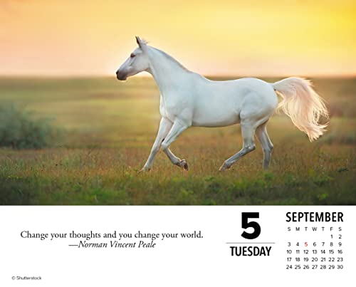 What Horses Teach Us 2023 Box Calendar #TOP2