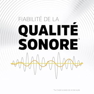 Energizer Sound Energy - Pile 312 Appareil Auditif (Lot de 60) - Performances Longue durée - pour Aide Auditive - Fabriqué en Europe - Conservation 4 Ans [Exclusivité Amazon]