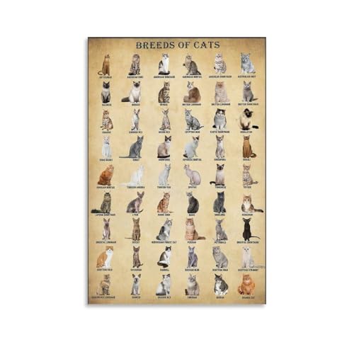 YLJAPOS Vintage Cat Breed Canvas Wall Art 12x18in