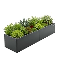 Vego garden Modern Raised Garden Bed