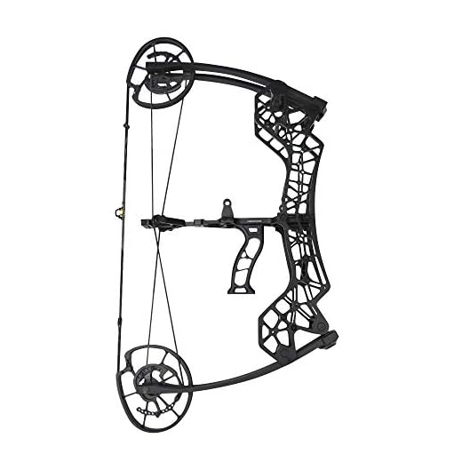 Dual-Purpose Compound Bow Catapult Steel Ball Bow Archery Hunting Compound Bow for Adult 30-60lbs Adjustable for Left Hand and Right Hand Outdoor Hunting Fishing Slingshot