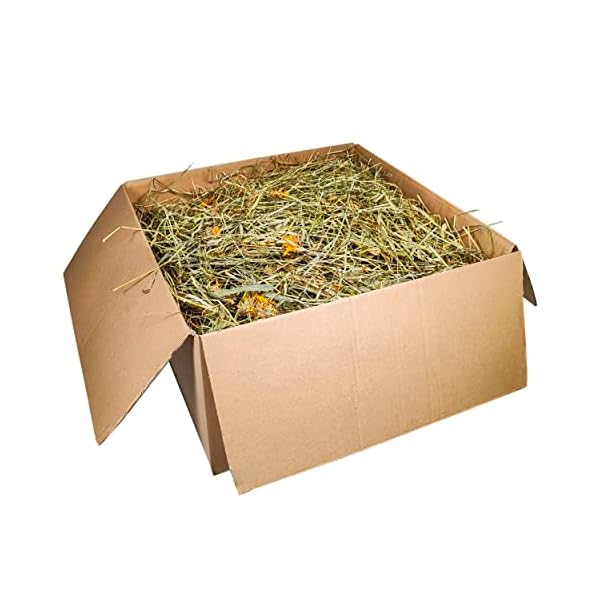 Dein Heuboden Premium Heu (1500 Gramm) Wiesenheu mit Ringelblüte und Kamille für Kleintiere Nager Kaninchen Hamster Meerschweinchen Futter Zwergkaninchen Hasen – Bild 3