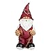 Arizona Cardinals 2008 Team Gnome