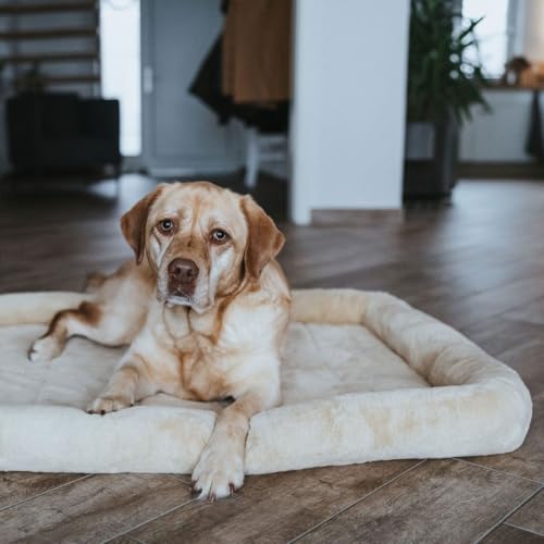 HUNTER Hundematte VERMONT COZY, komfortabel & gepolstert, erhöhter Rand, besonders weich & kuschelig, rutschhemmend, universell einsetzbar, waschbar, Farbe: beige, Größe: S