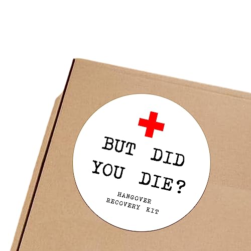 But Did You Die? Hangover Recovery Kit Stickers