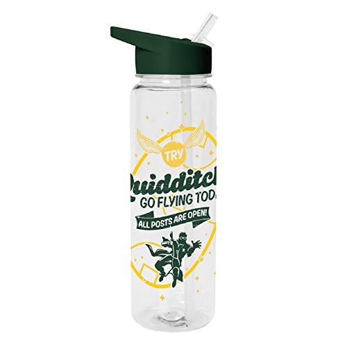 Pyramid International HARRY POTTER Water Bottle (Clubhouse Quidditch Design) 540ml Plastic Water Bottle