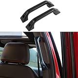 BORUIEN Interior Moulding for Ford F150 2015-2020 Rear Seat Grab Handle Bar Decoration Cover Trim (B