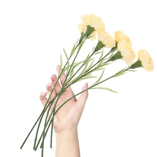 GETAJGHSD ͑J[l[V6{Zbg ztFCNt[ pt[fR[V ̓ p[eB[̑p