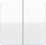 Jung CD1565.07GR Kurzhubtaste für Serien-Tastdimmer