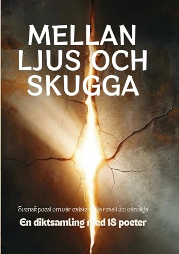 Mellan Ljus och Skugga: Svensk Poesi Om Vår Existentiella Resa I Det Oändliga