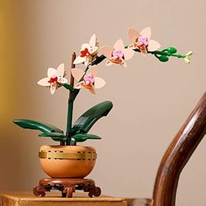 Amazon.co.jp - レゴ® ボタニカル ラン＜ミニ＞ 10343