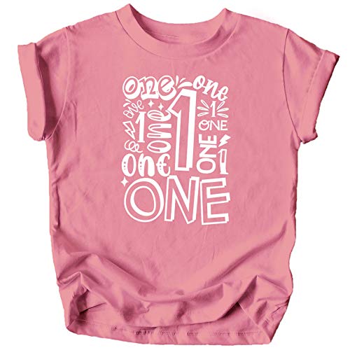 Olive Loves Apple Charming 1st Birthday Terms T-Shirts and Raglans for Baby Girls and Boys First Birthday Outfit White on Mauve Shirt 18 Months