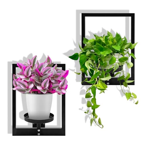 UriMaxa Metal Wall Plant Holder, Wall Planters for Indoor Plants,