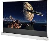 celexon Heimkino- und Business-Boden-Leinwand für Ultra-Kurzdistanz-Projektoren - 120