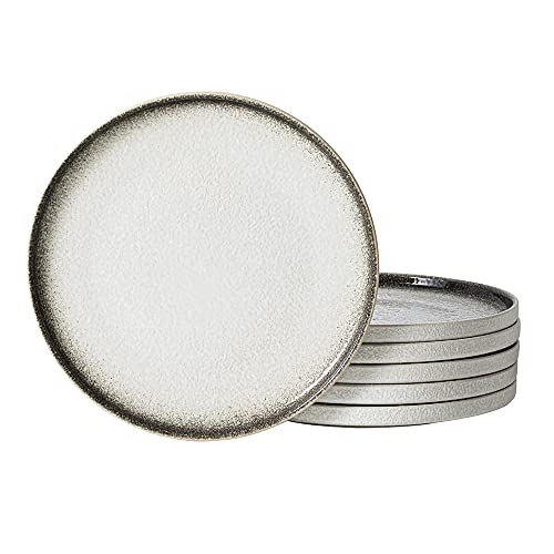 S&Q's Ceramics Dinner Plates Set For Kitchen, Microwave, Oven And Dishwasher Safe, Scratch Resistant (10 Inch), [Set Of 6] (Irony White) #TOP26