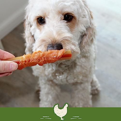 SmartBones Chicken Wrapped Sticks Medium - Hundesnack mit Huhn für mittelgroße Hunde, Kaustangen mit weicher Textur, ohne Rohhaut, 5 Stück