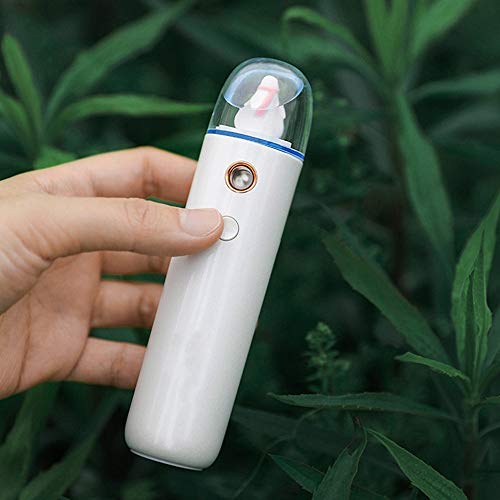 Spray visage nano hydratant portable USB et humidificateur facial